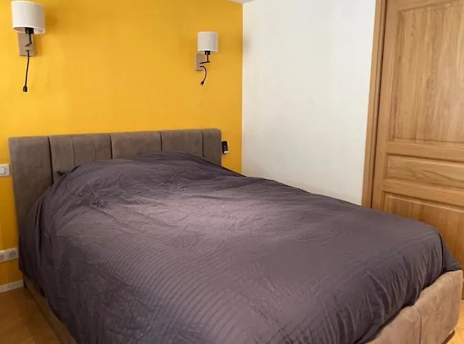 Appartement Hyper Centre - Decré Bouffay - Rue Piétonne *